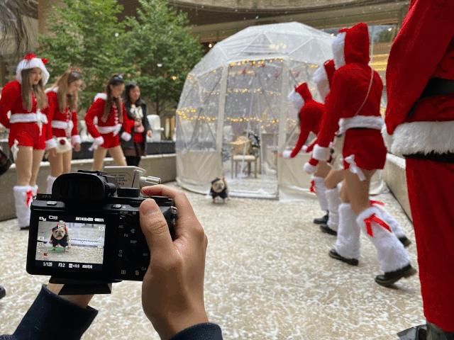 为了让你过好圣诞，他们把全世界搬进了购物中心