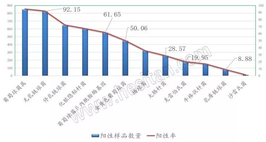 近4000人次收看——无乳链球菌的危害及清除计划的实施要点