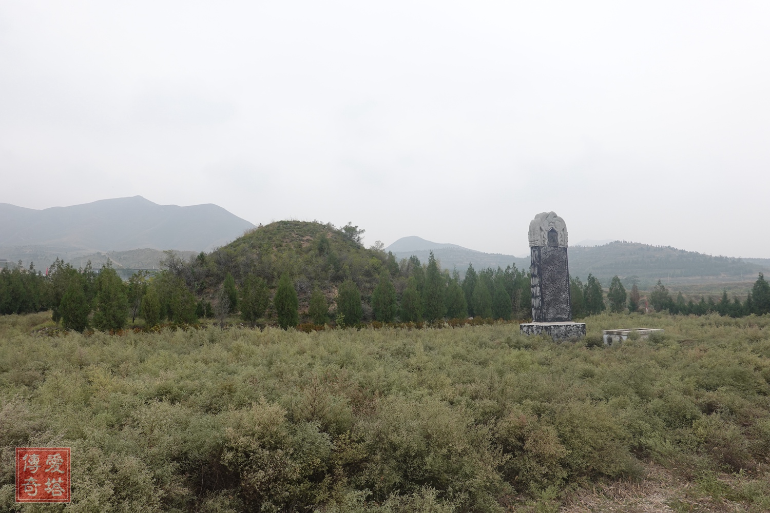 2020年经典电视剧有哪些,2020年将要播出的电视剧有哪些