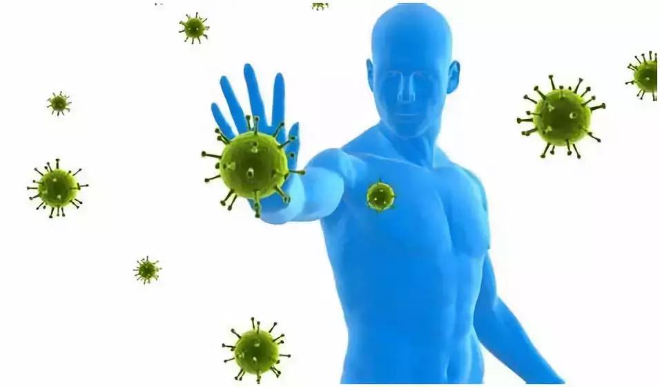 益生菌与免疫疾病,益生菌和流感病毒