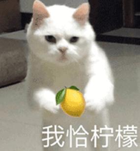 最新钩针斜挎包,2021最流行的斜挎包钩针