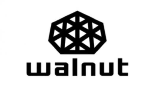 猪年精品：核桃智能锁匹配CEI铸铝钢木装甲门很受高端消费者喜欢