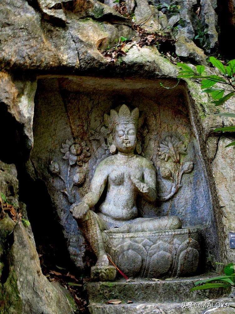 杭州灵隐寺1700年菩提树开花,杭州灵隐寺旅游全攻略