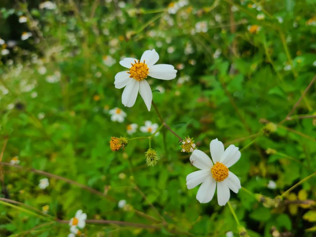 海南之行记录全集,海南之行的记录