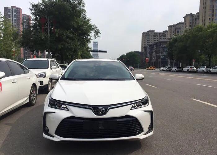 喜欢多姿多彩的生活,多彩多姿的生活作文