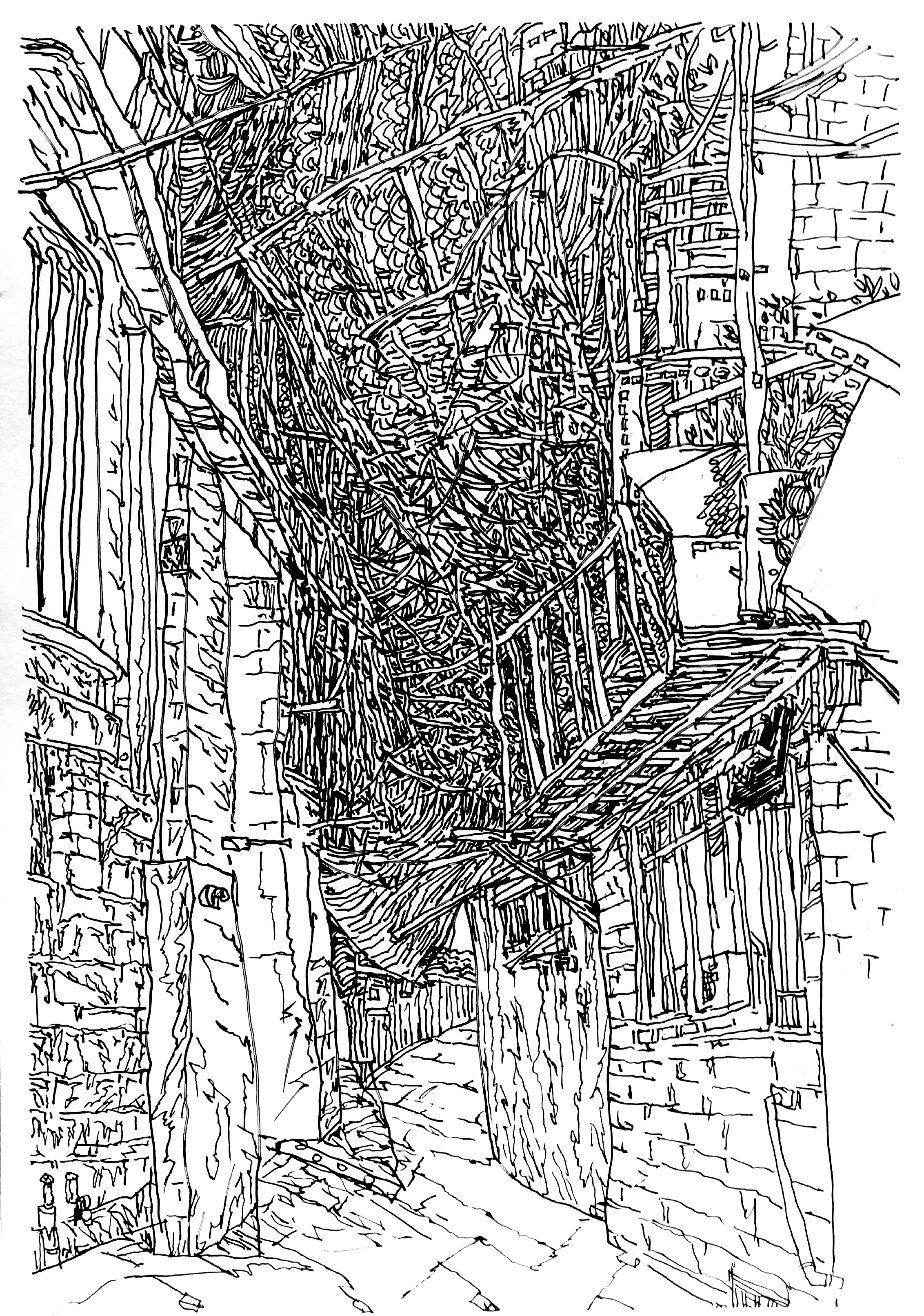 亲切友好的钢笔画速写