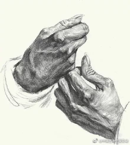 优质素描,优质素描静物