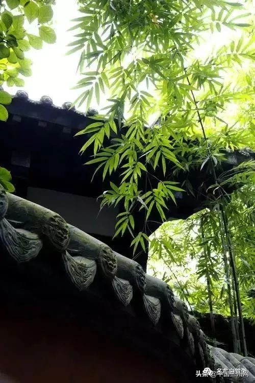 兰州到甘谷绿巨人开通时间,兰州至上海绿巨人