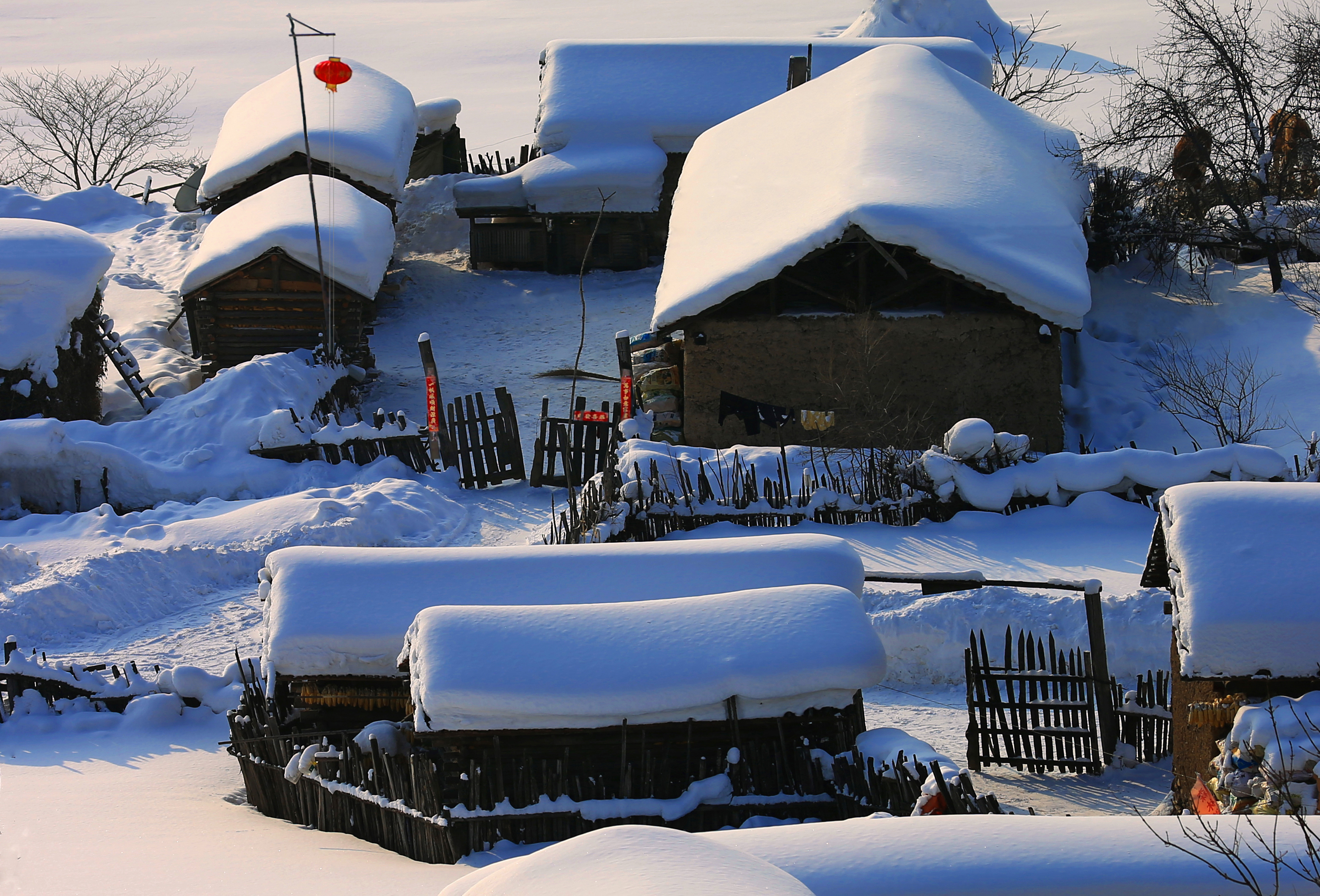 东北人受不了南方的冷吗,为什么北方人冬天喝冰水