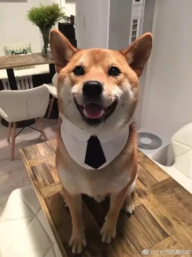 10大赚钱副业摆地摊卖什么最赚钱,做一个摆地摊的姑娘该如何入手