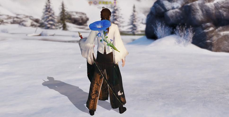 天赐版本|商城上新,时装宝箱饰品总有你pick的