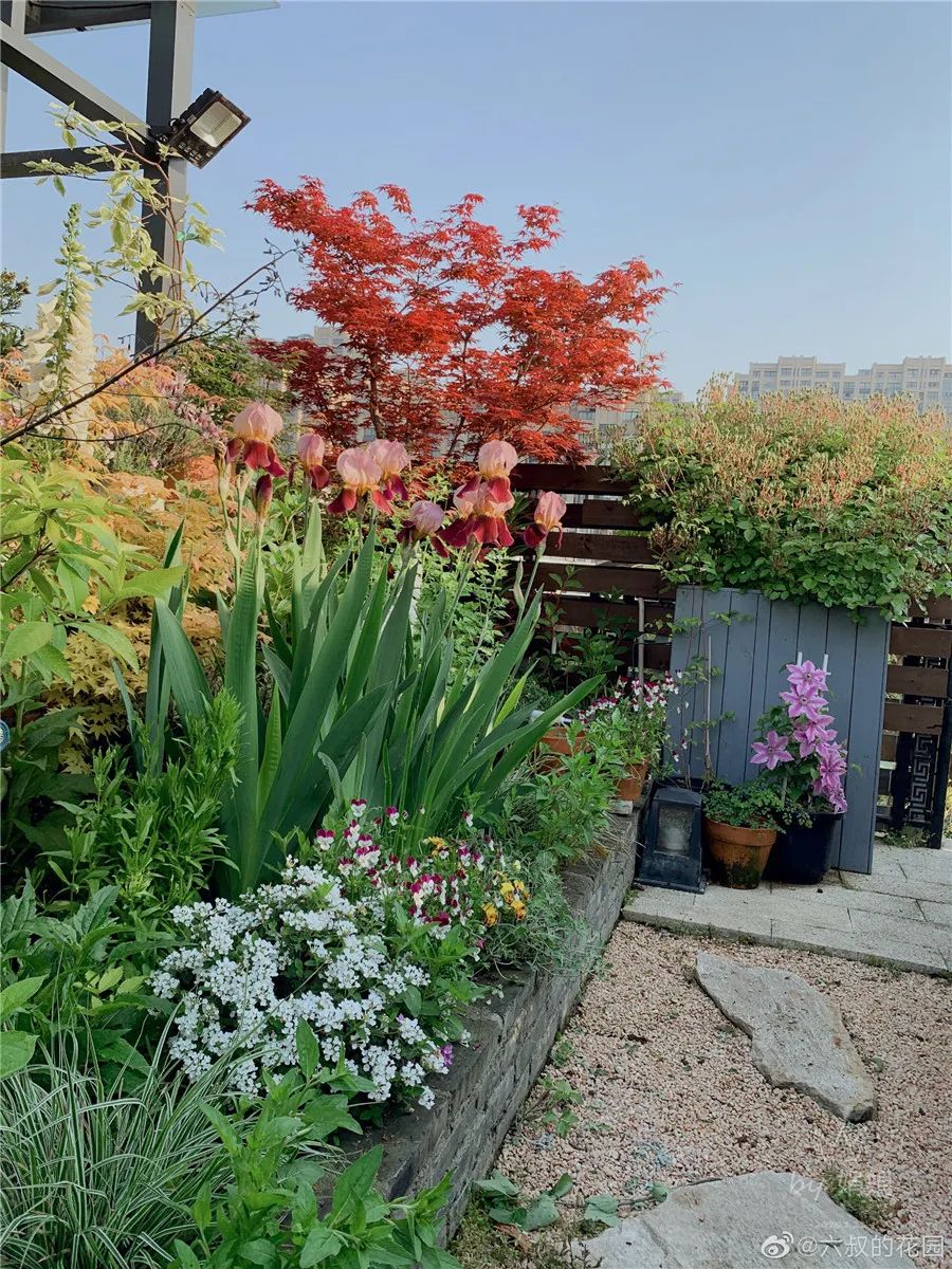 怎样打造露台花园,简单露台花园打造方法