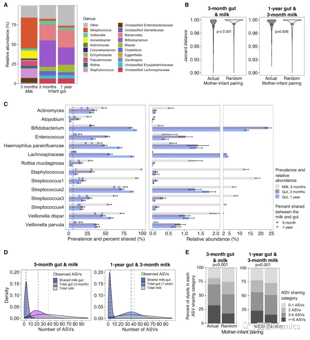 cell子刊新发现,cell子刊教学视频