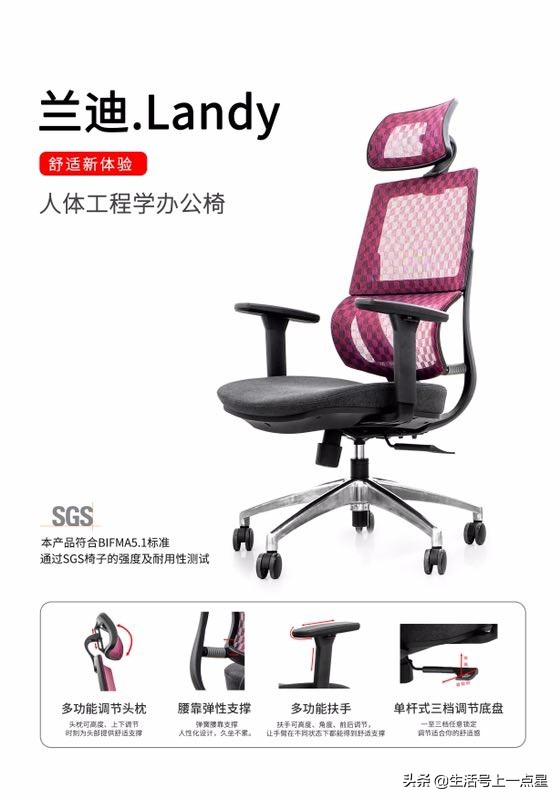 丰盛的健康办公椅-------“兰迪”首选推广