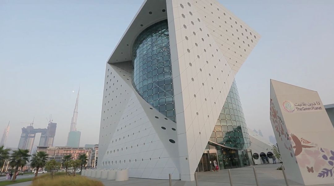 中国非遗文化走进国际学校,参观中国非遗博物馆