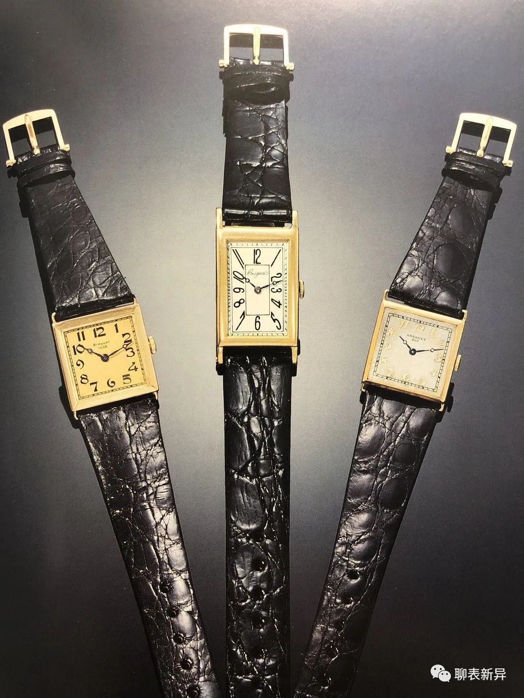 百里鸽是什么鸽,百里鸽是什么鸽图片