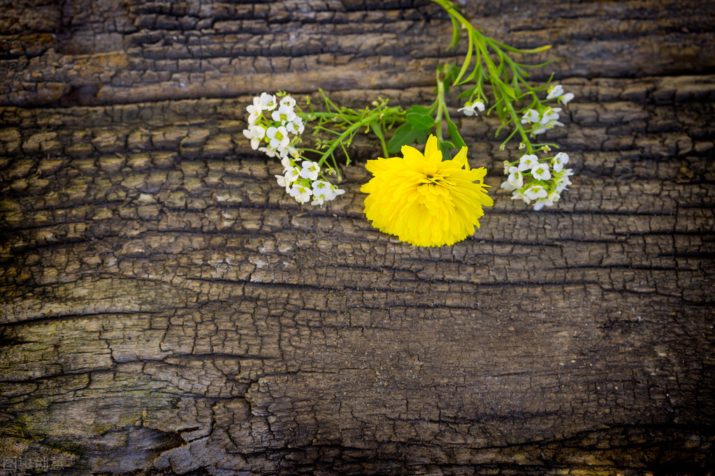 退休老阿姨人生感悟,58岁退休老阿姨人生感悟