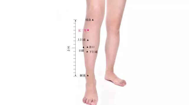 脾虚体寒怎么调理最有效,脾虚体寒湿气重怎么调理