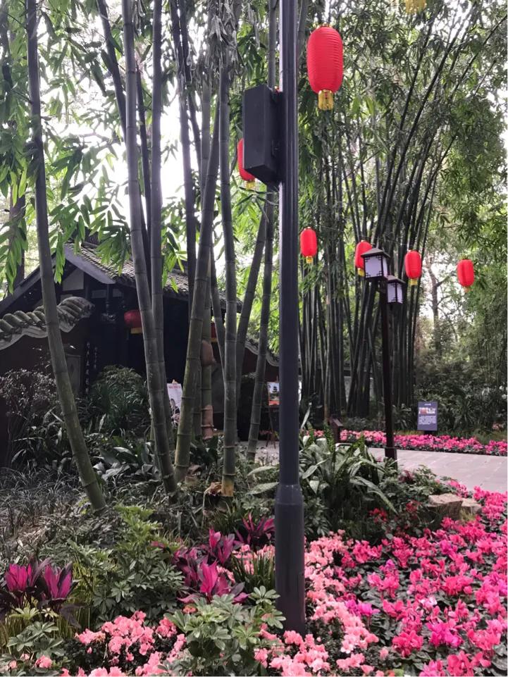 成都望江楼公园简介,成都望江楼公园要门票吗