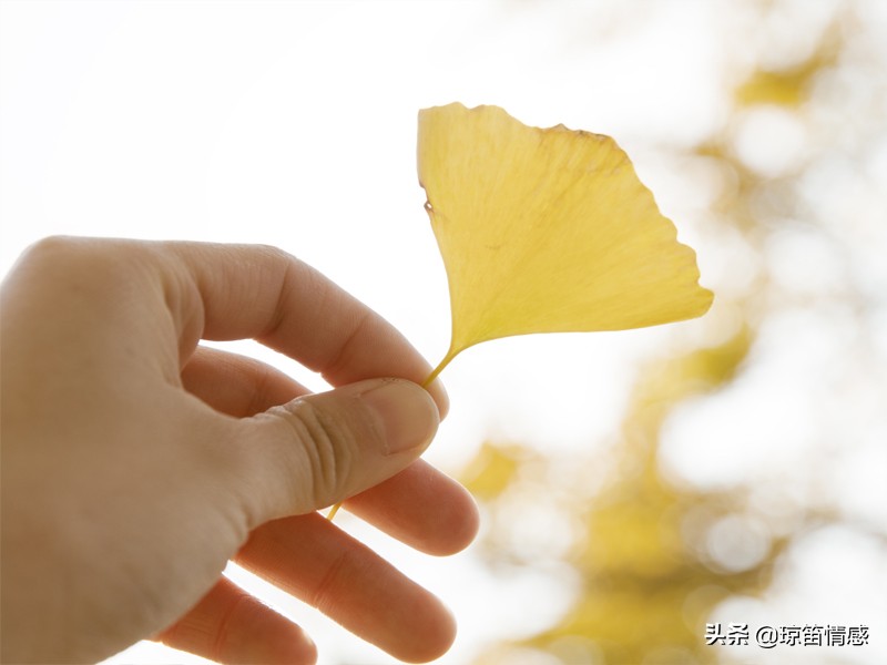男朋友人很好但是不想结婚,男友没有上进心女友要分手
