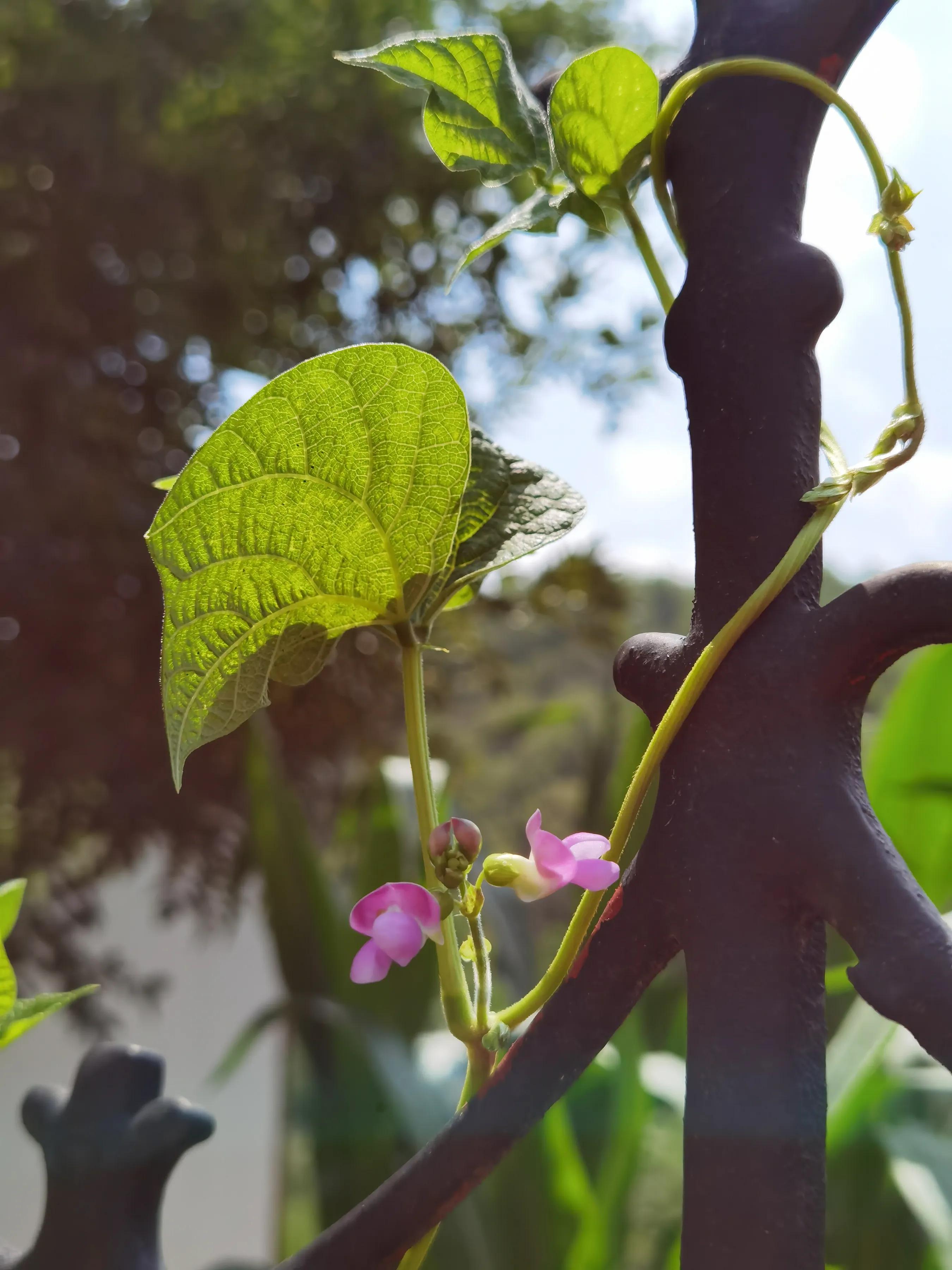 手拍世界手机摄影平台,手机摄影作品集大全集