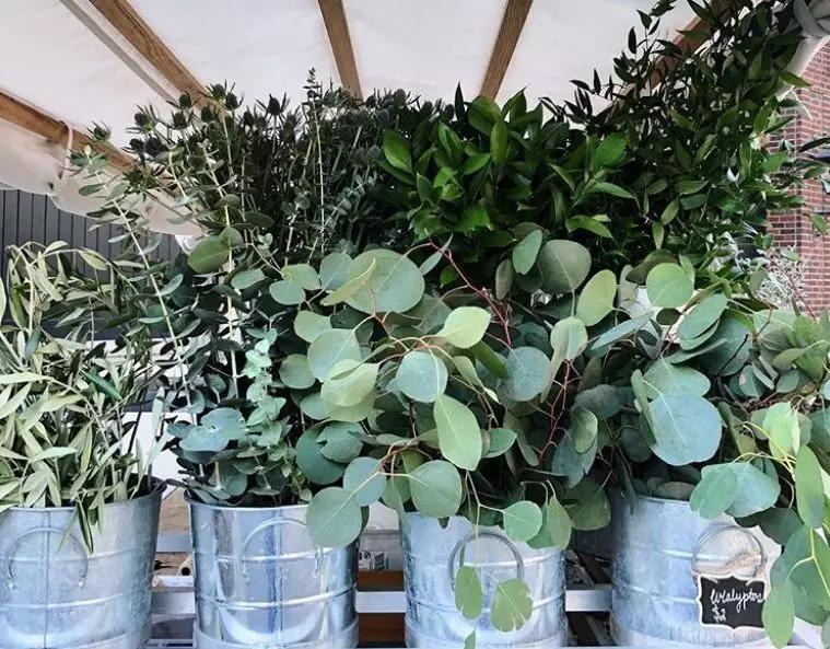 开花店是一件很浪漫的事,开花店真的很累吗