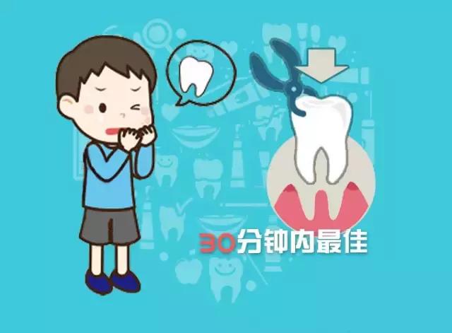 小朋友牙齿受到外伤如何正确处理,牙齿意外脱落如何处理