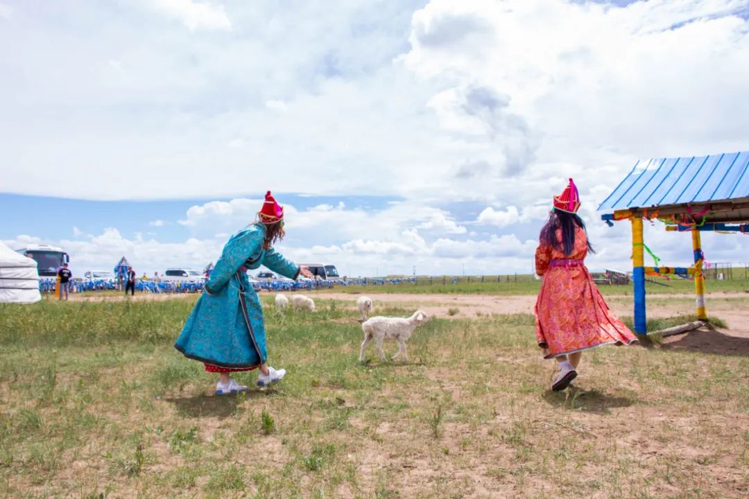 自驾三天呼伦贝尔大草原,自驾去呼伦贝尔草原七日游的攻略