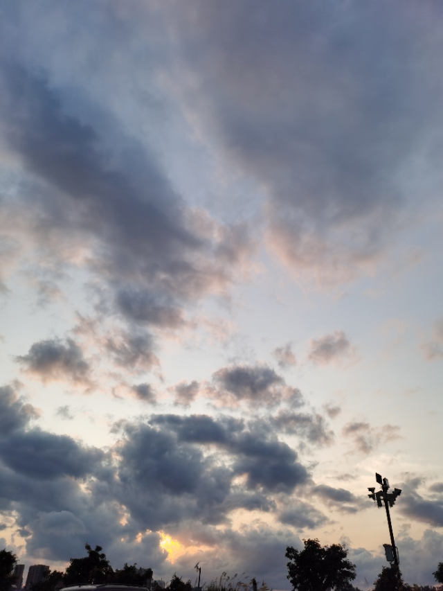 我该如何拯救我的爸爸,我该怎样拯救你我的爱人