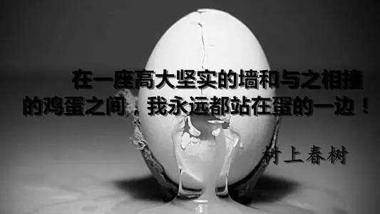 当“高墙”与“鸡蛋”对垒，我选择站在鸡蛋这边！|我的律师路