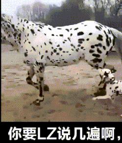 搞笑gif开心,搞笑gif开心视频