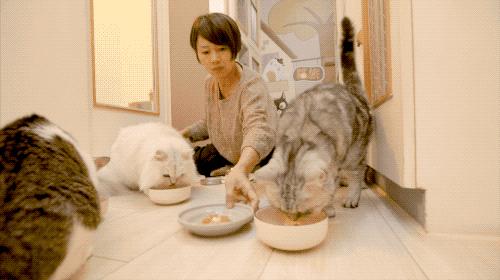 一对夫妻的零浪费生活,自制牙膏洗发水