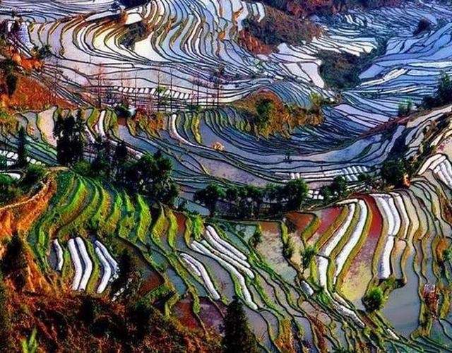 楚雄元阳普者黑四日游,最新云南建水旅游攻略