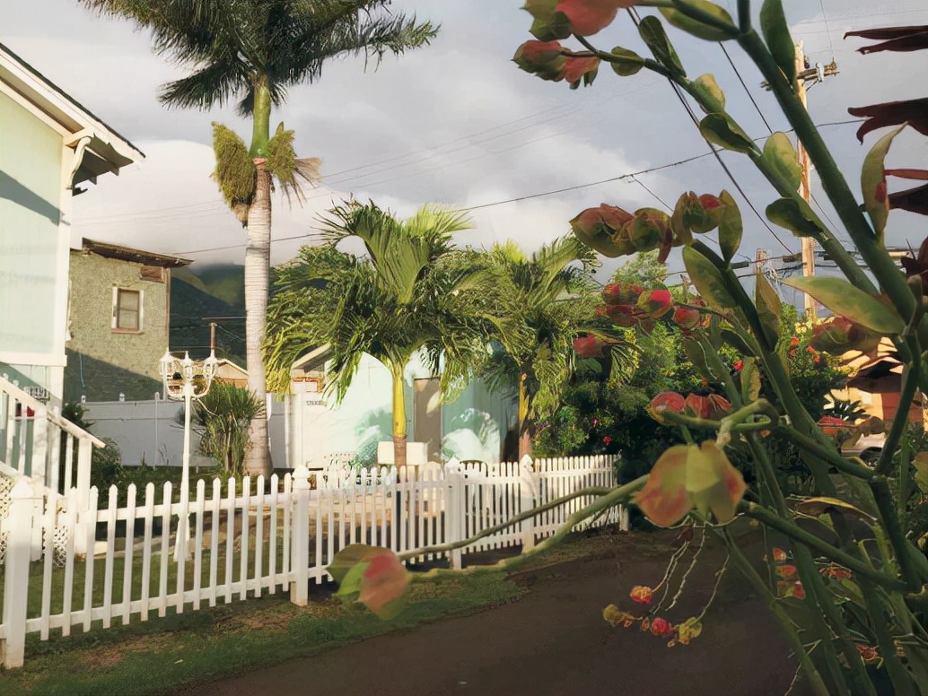 夏威夷的冬天简谱,夏威夷的冬天