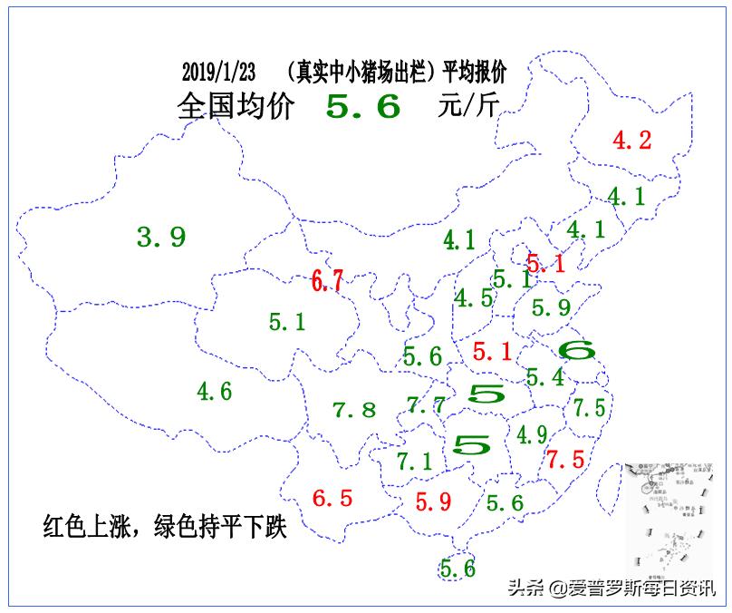 分析师谈猪价大涨 (郑老师分析猪价)