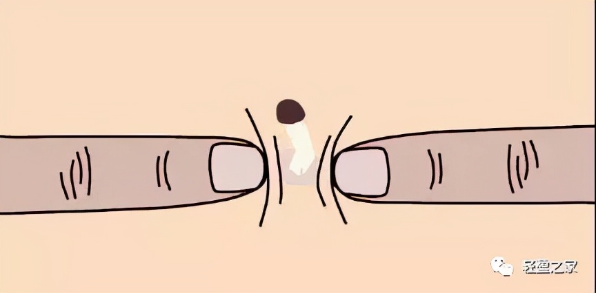 木雨老师,木雨老师作品