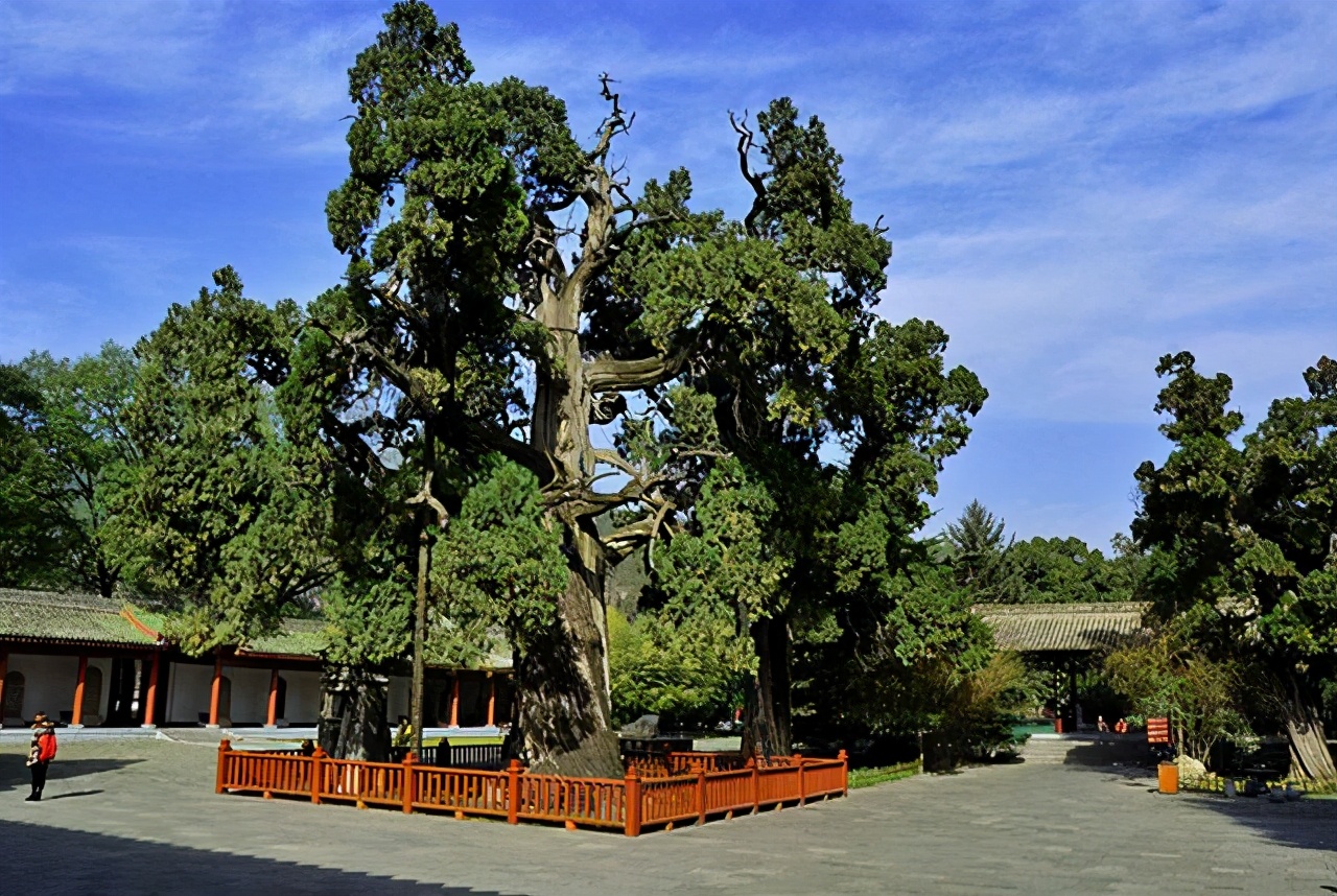 楼观台是道教祖庭吗,道教祖庭楼观台的产权归属纠纷
