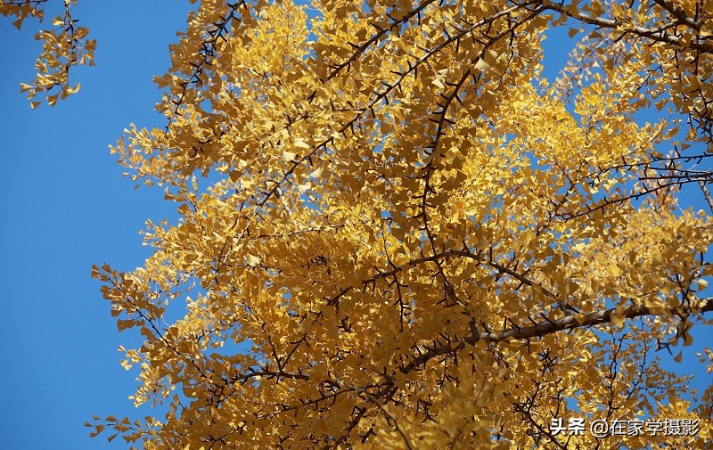 卡色uv镜和偏振镜哪个好,uv镜cpl偏光镜