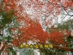 国产婆媳大战神剧,盘点一下那些关于恶婆婆的电视剧