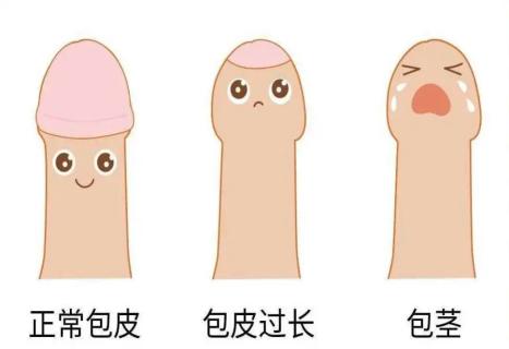 鍖呯毊杩囬暱鐨勭棁鐘跺拰鍗卞鍎跨绉戞櫘,瀹堕暱鎬庝箞瀵瑰皬瀛╄棰勯槻鍖呯毊杩囬暱