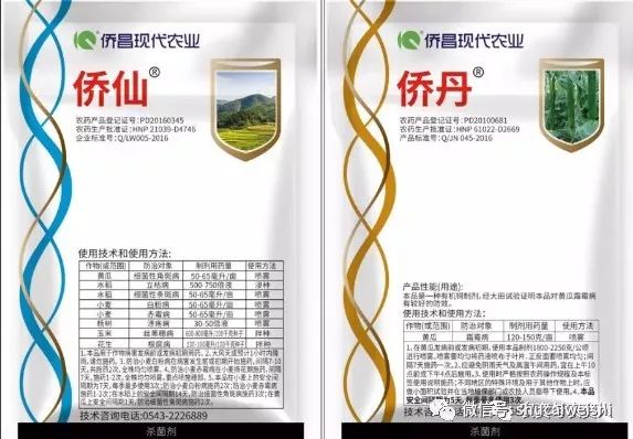 细菌感染不用吃药能好吗,细菌感冒不用吃药自愈