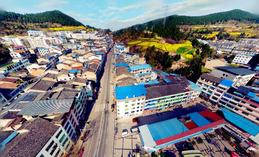 四川盐亭哪个镇人口最多,四川盐亭最大镇