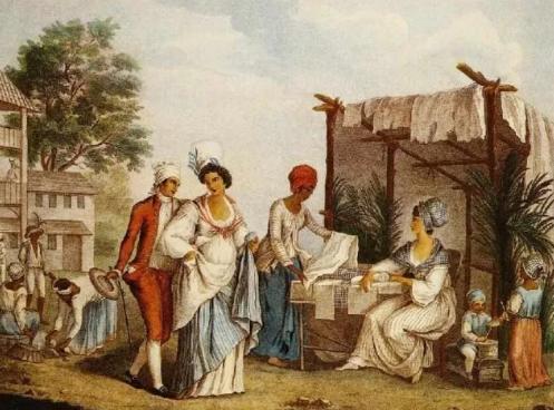 开启“纤维皇后”的王冠密码