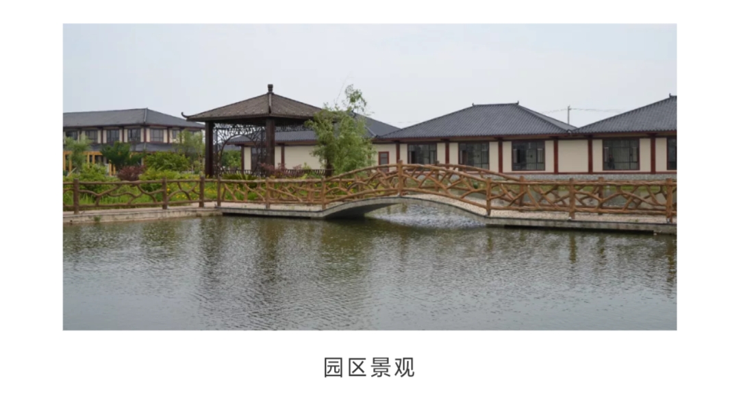 岳阳惠众农庄菜单,岳阳惠众农业研学基地