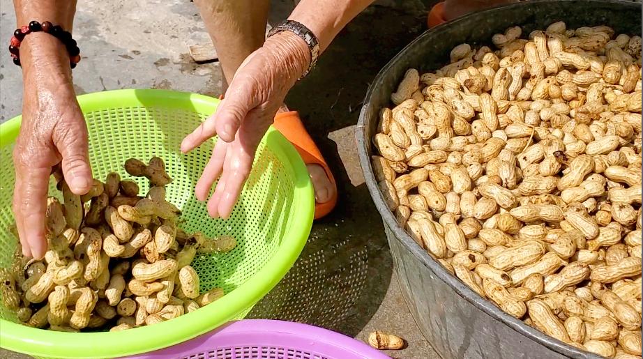 花生怎么煮好吃又不变黑,花生一泡就变白色