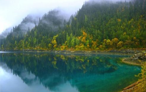 景美情美辞美——《与朱元思书》文言文原文阅读答案翻译注释