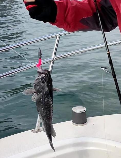 大连岸边几月份开始钓鱼,大连近海渔船出海时间