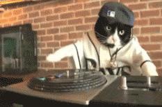 奇葩新闻大全爆笑合集,各种奇葩新闻笑死人