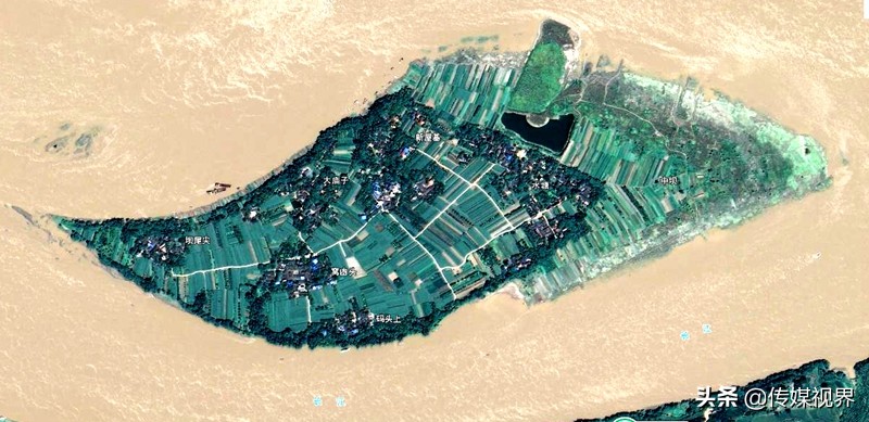 自驾游江津石蟆中坝岛,江津石蟆中坝岛甘蔗林