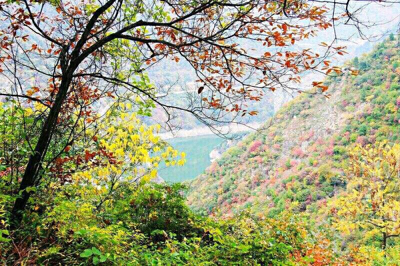 行天下金盛海棠,行天下品淮扬